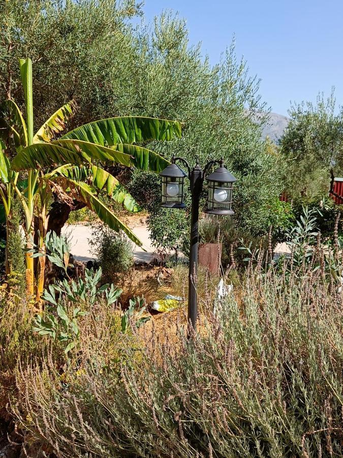 Casa Oasis Lägenhet Alora Exteriör bild